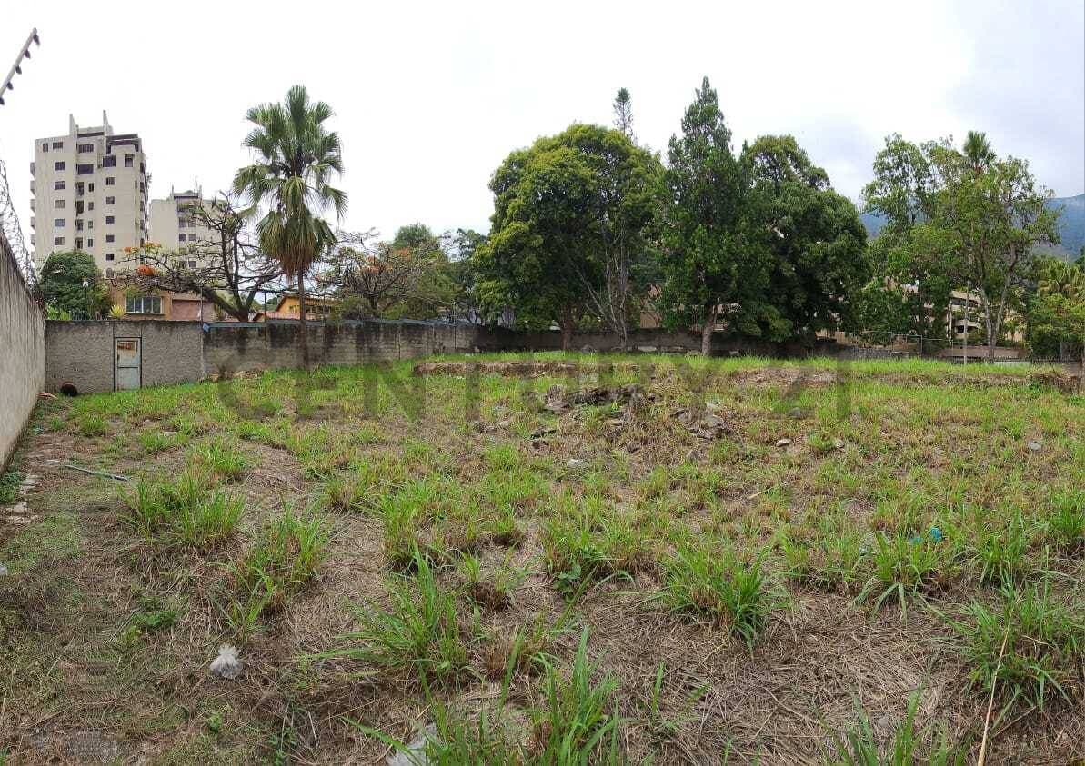 Terreno Exclusivo en La Castellana: Oportunidad Única para Inversión y Desarrollo