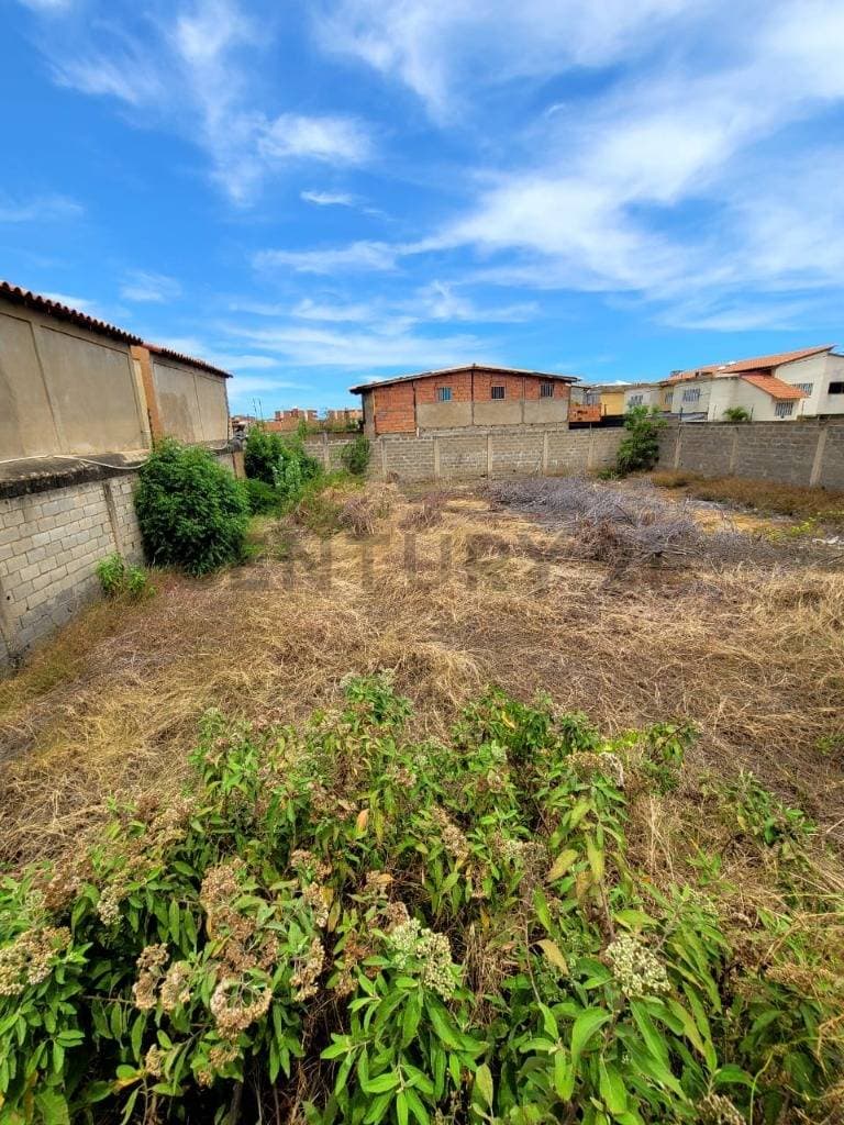 Terreno Perimetrado en Nueva Barcelona, Anzoátegui: ¡Oportunidad de Inversión!