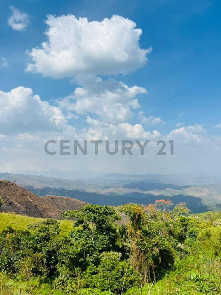 Finca Agroindustrial en Yaracuy: Oportunidad de Inversión en Entorno Natural